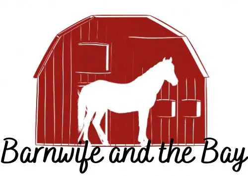 barnwife and the bay logo