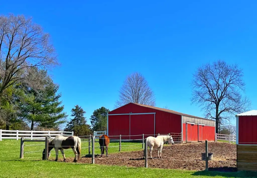 3 horses stand in a dry lot in front of a red barn.