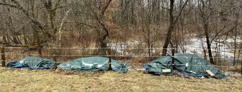 three manure piles covered by tarps. The piles are composting.