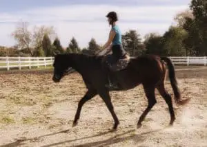 riding an adopted Thoroughbred horse