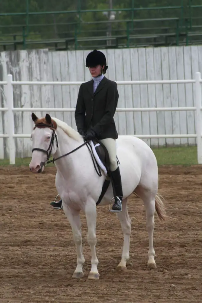 a girl shows a white horse English. I started training my own horse with my very first horse.