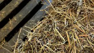closeup of a square hay bale