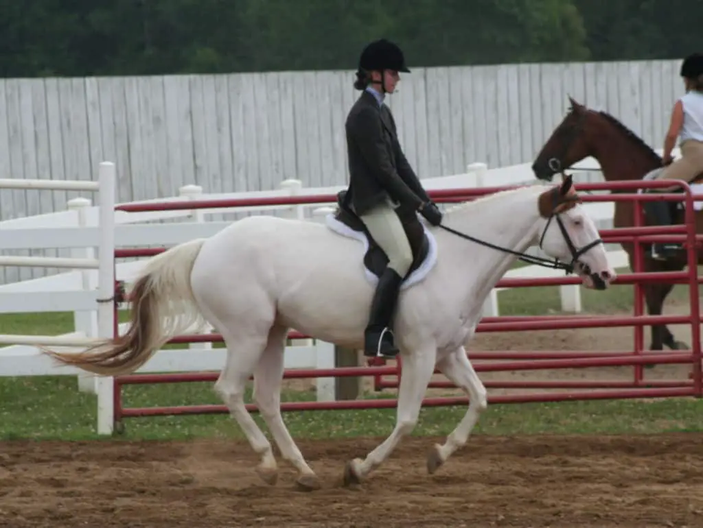 Girl cantering on a white medicine cap paint horse