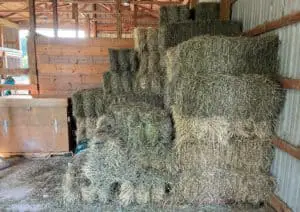 square hay bales stored in a barn
