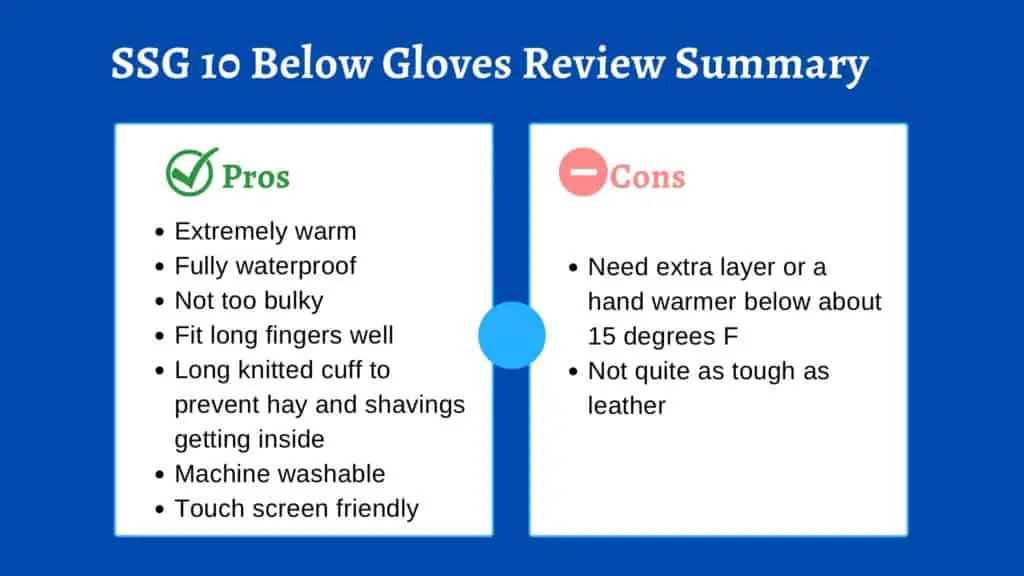 SSG 10 Below Waterproof Winter Gloves Review Summary