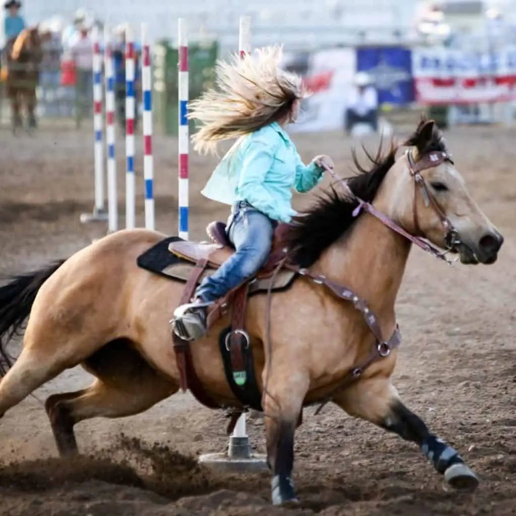 horse and rider competing in pole bending