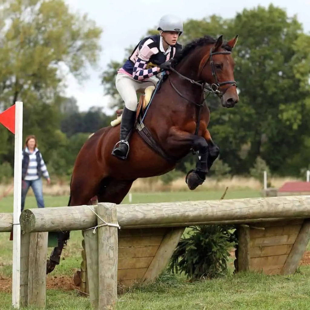 horse and rider jumping cross country