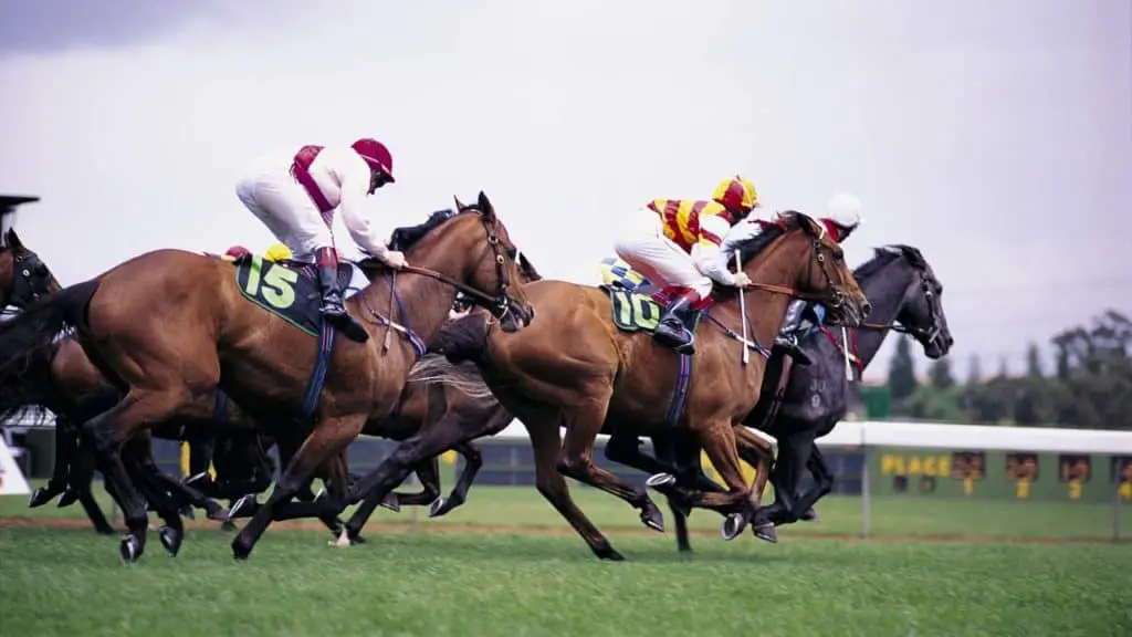 horses racing on turf