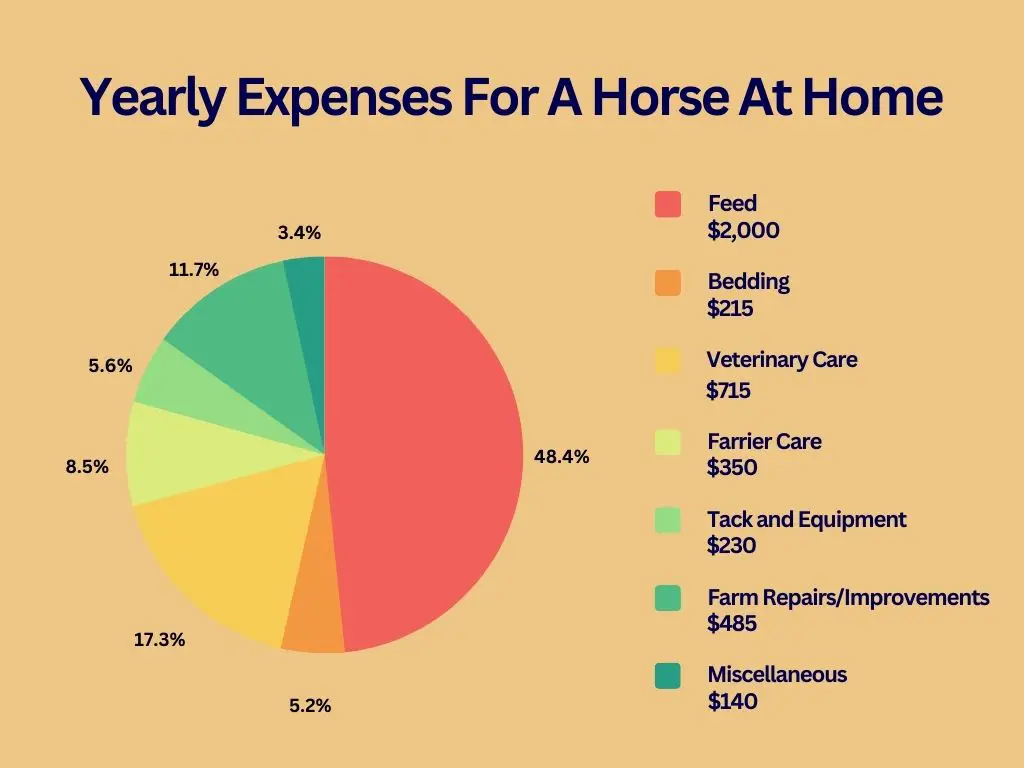 Annual expenses for a horse at home