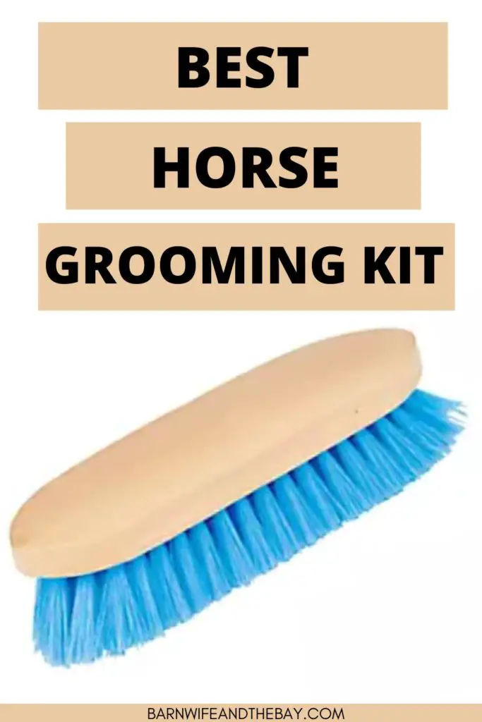 best horse grooming kit