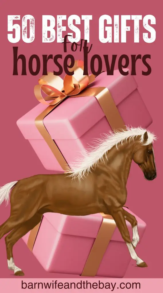 50 best gifts for horse lovers