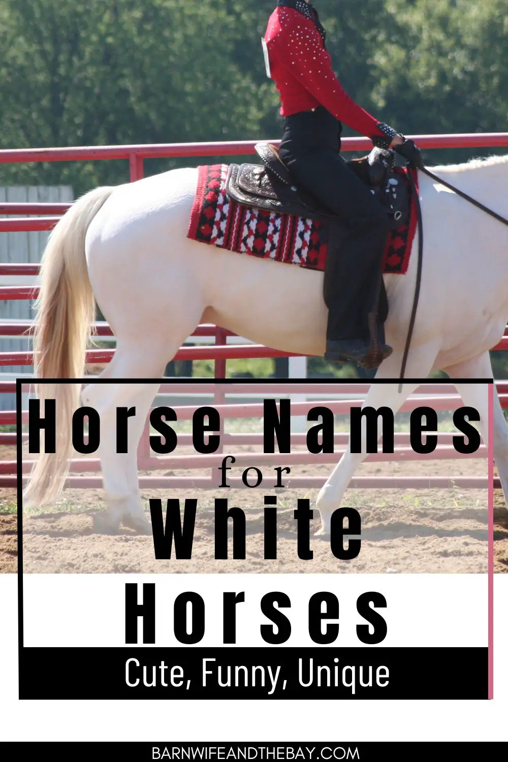white horse names