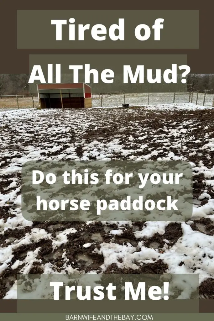 horse paddock mud management