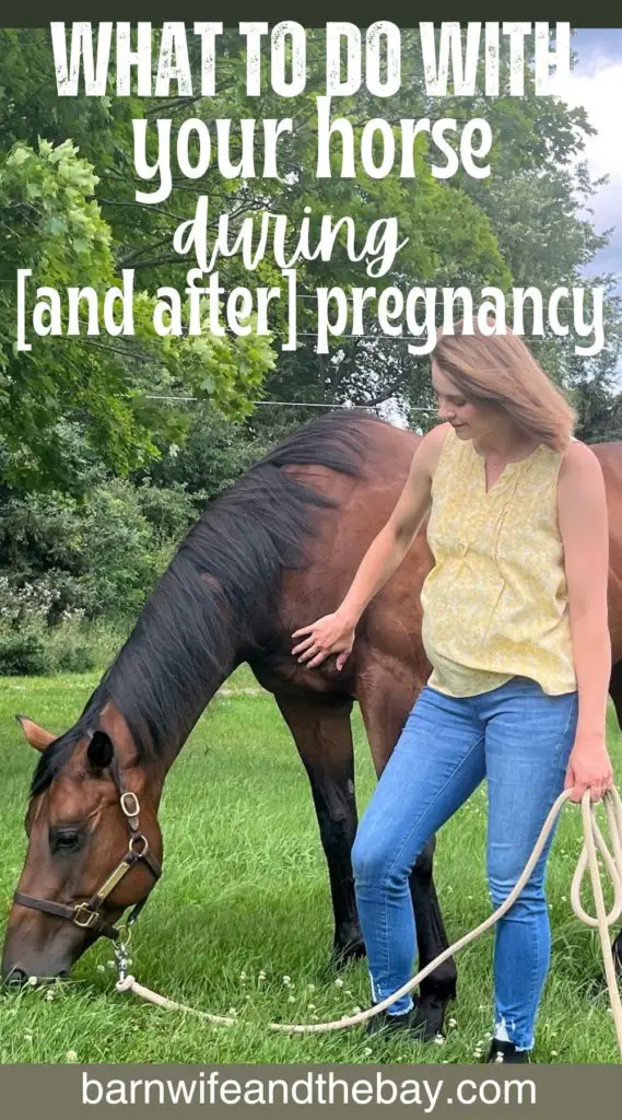 what to do with your horse during and after pregnancy